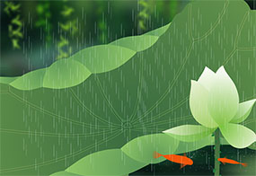 想变成大大荷叶flash动画